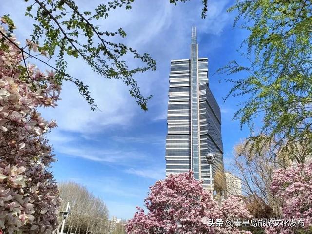 秦皇岛图书馆“保姆级”使用手册来了,速收藏!