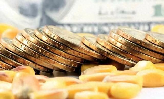 玉米全面涨价，而且越涨越起劲儿！2025年7月30日玉米价格报价