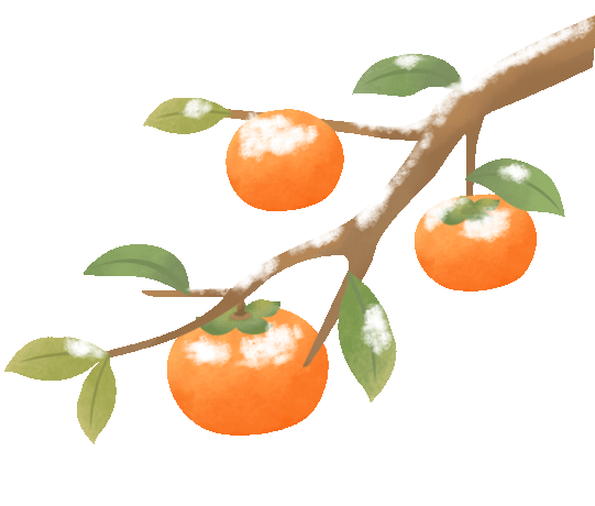 走起，这个小院出圈又出片！