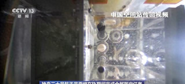 神二十乘组踏上回家之旅！神二十一载人飞船顺利撤离空间站组合体