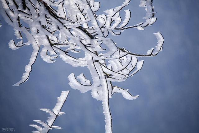 明日进三九，“最怕三九是晴天	”，晴天有啥好怕的？看农谚咋说