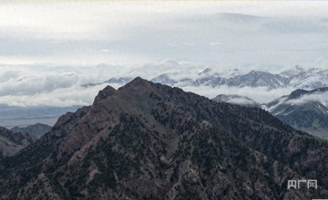 秋染柴达木！高原小城都兰：三色交响奏响高质量发展新曲