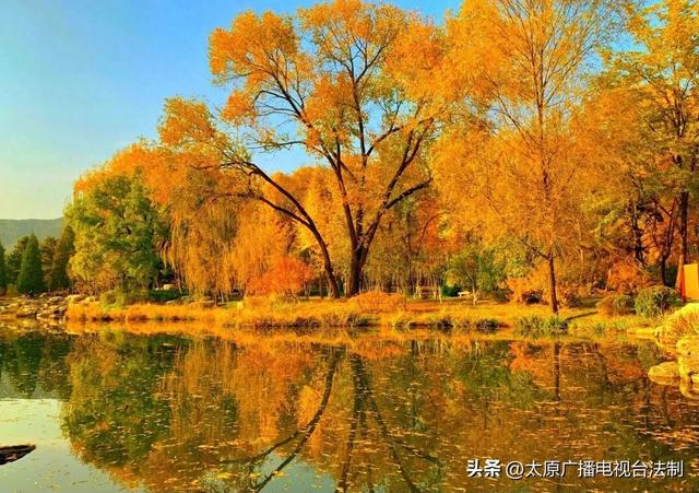 太原创森|一脚踏入秋日童话！这几个景点，每帧都是壁纸