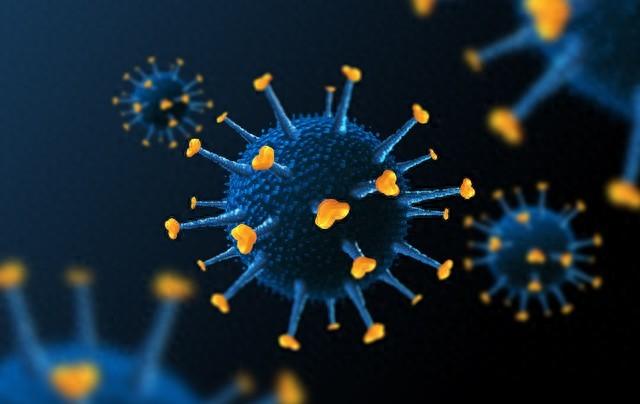 2025年10月29日 第49页