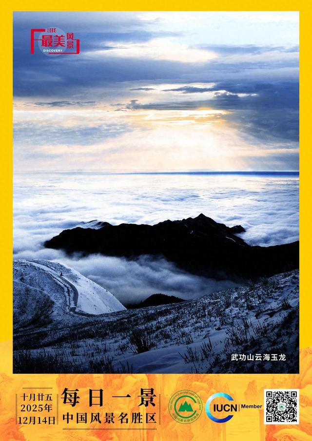 每日一景 | 武功山云海玉龙