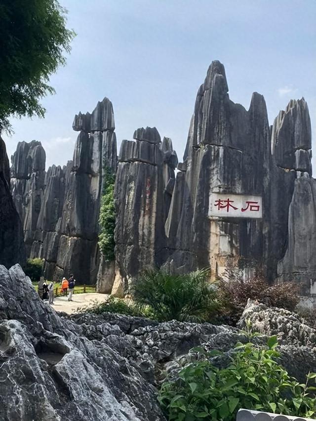云南石林风景区介绍（云南石林丨旅游攻略丨景点介绍）
