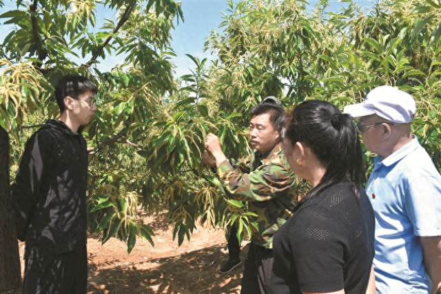长城脚下 “金豆”出山