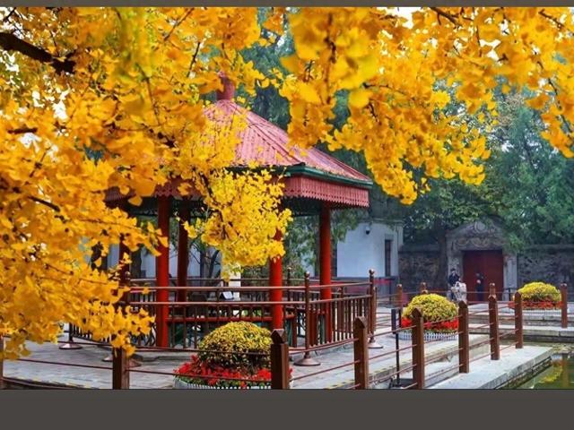 北京市有哪些欣赏红叶的景点