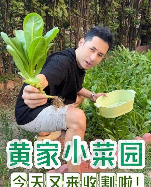 歌手“黄征”的院子火了，仅一菜园子就圈粉百万，一看就不是摆拍