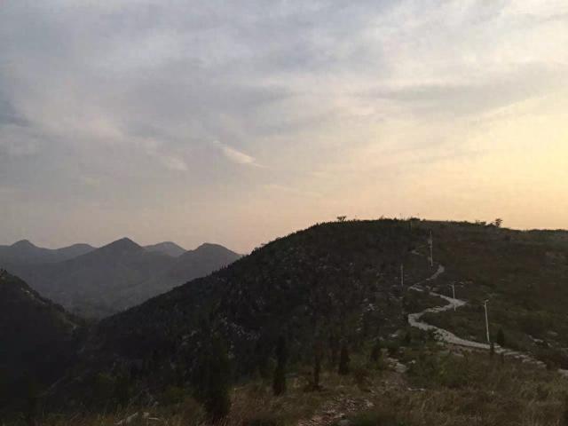 城中静地牧牛山