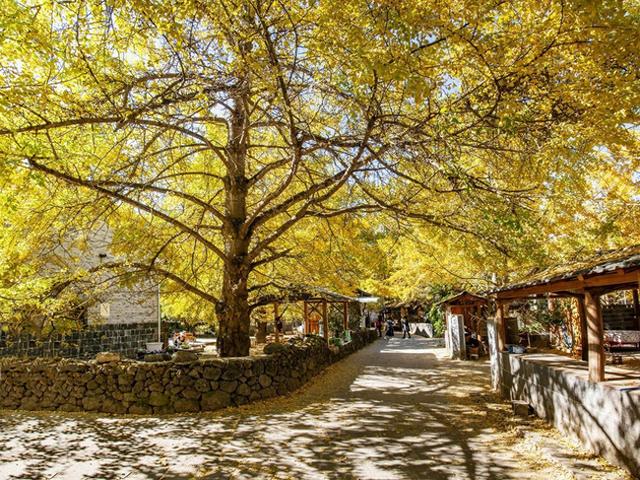 11月中旬-12月中旬，适合去的7个赏秋胜地，秋意渐浓，秋景斑斓