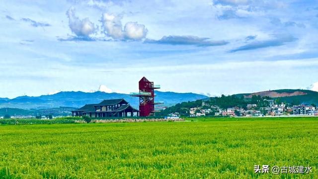 来稻田公园，赴一场与自然的温柔邂逅