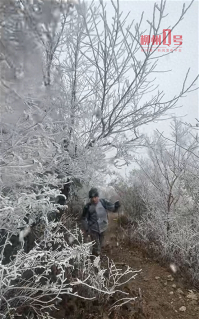 冷冷冷！柳州一森林公园降雪了！不少网友爬山打卡！最新提醒→