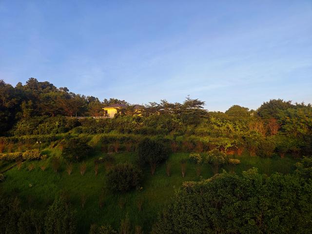 西丽湖国际科教城绿道，看霞飞满天，如梦似幻！长岭陂地铁C口