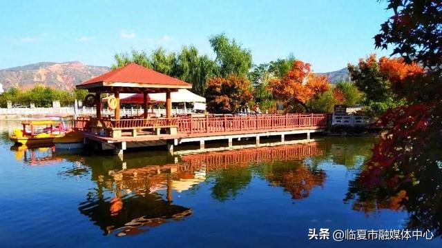 飞阅花都④丨漫步东郊公园 邂逅秋日风光 静享“天然氧吧”