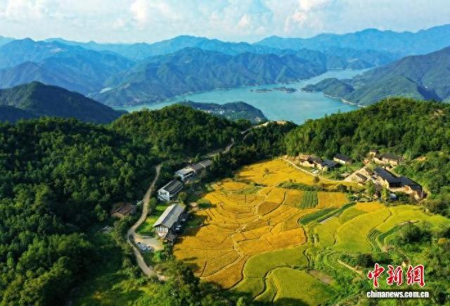 （侨乡新貌）侨胞“点绿成金”助力浙江“两山”实践