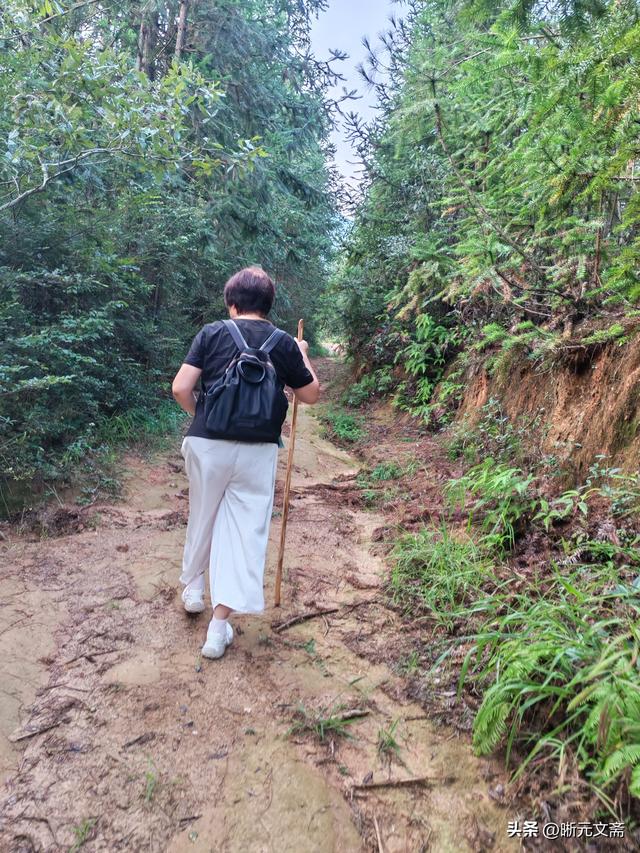 德隆山庄的故事：爬山。