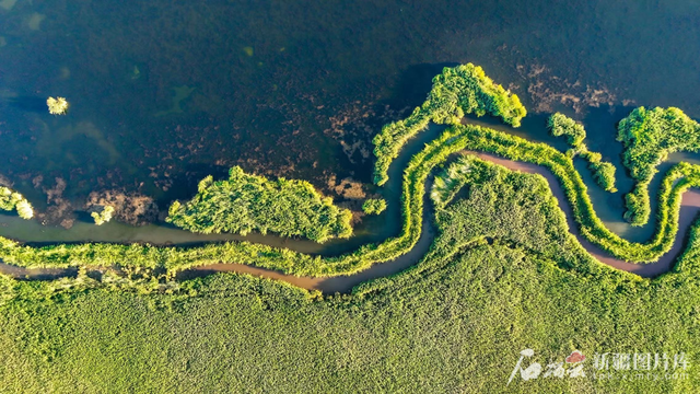文化中国行·行走美丽新疆 | 239公里环湖路“串珠成链” 博湖美景一键打包即可出发