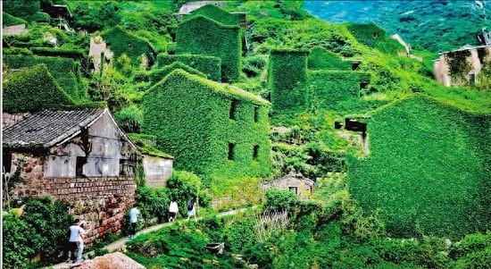 嵊泗海岛旅游从单岛爆款迈向群岛共辉 绿野仙踪引游人 花鸟岛上诉衷情