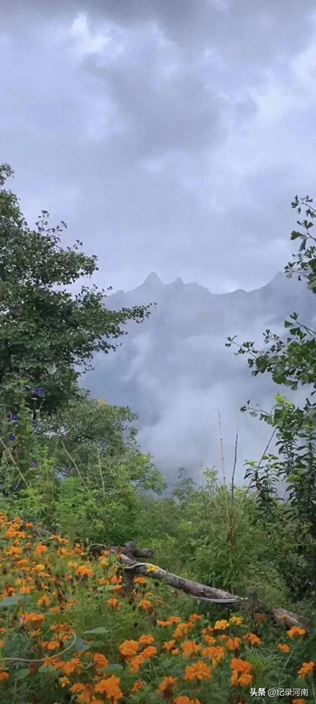 长白山简史：跨越时空的自然与人文传奇