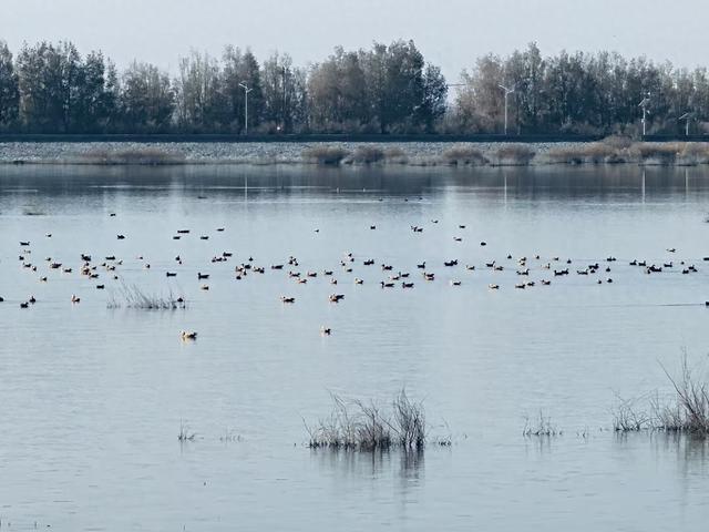 组图｜红崖山水库：邂逅一汪清冽 收藏冬日静美