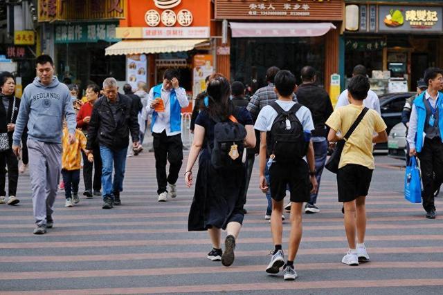 广东今日宜洗晒！落羽杉已换装，秋冬大片等你开机丨温度记