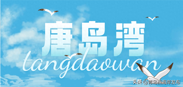 “鸥”耶！西海岸来了一批“老朋友”！