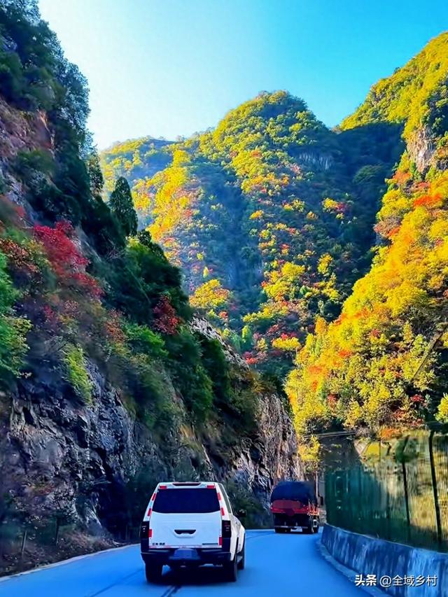 自驾线美到封神！90%河南人不知道的豫西秋色，现在去刚刚好