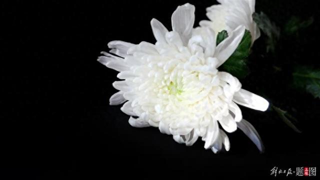 37岁殉职消防员何伟豪戴婚戒下葬	，女友发文：戒指我帮你戴上了，记得找到我