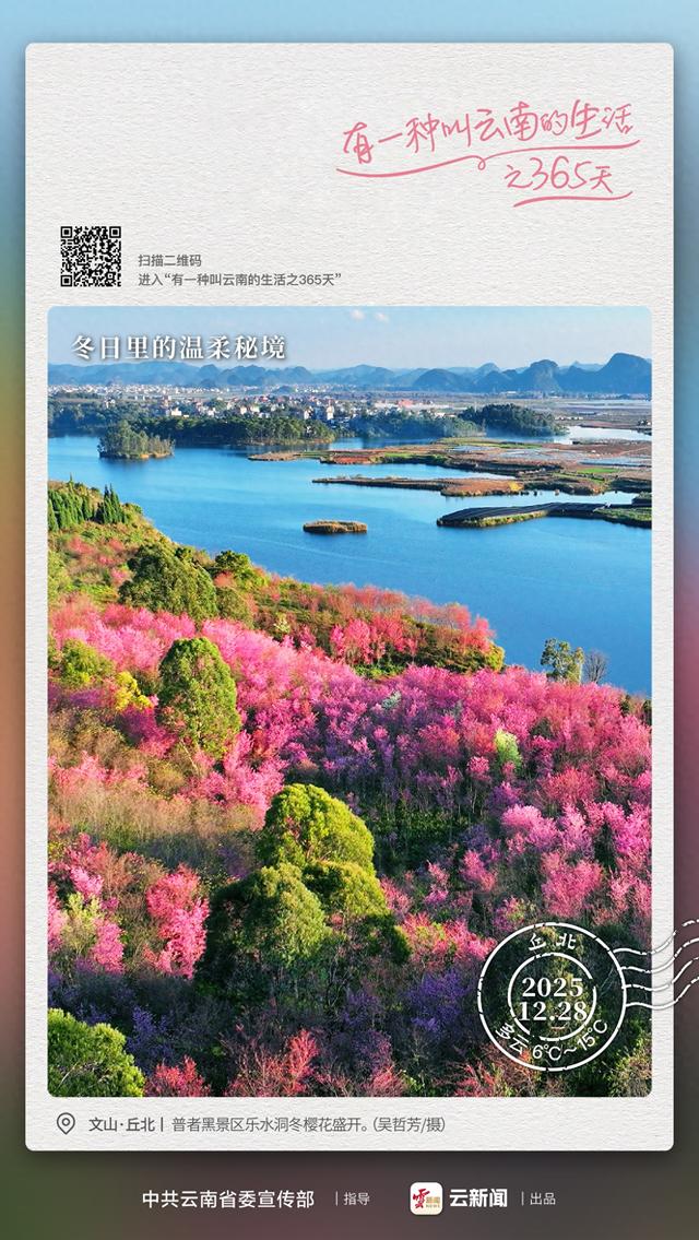 一半山水一半樱，是普者黑的冬日温柔——有一种叫云南的生活之365天