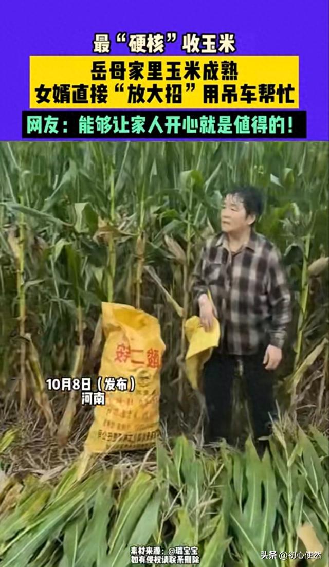 河南女婿太硬核！用吊车帮岳母收玉米，全网夸赞