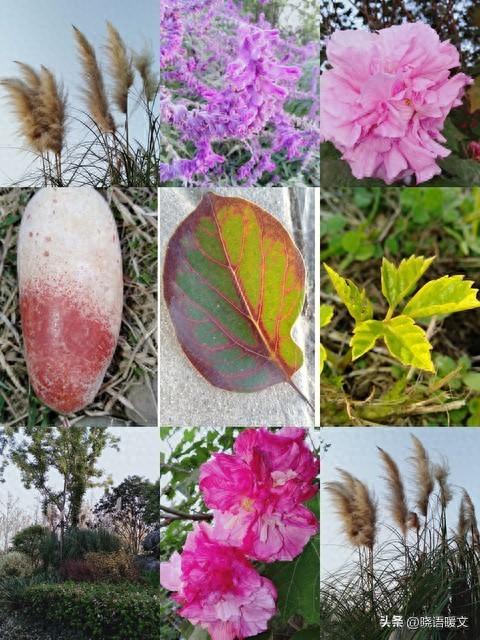 起落悲喜皆诗行	，且行且惜绘人生