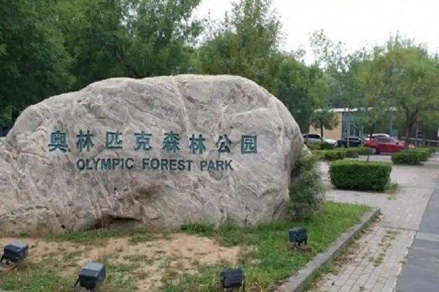 北京奥林匹克森林公园 城市中的绿色明珠
