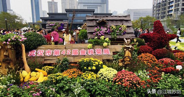 秋韵菊香、沙湖寻美—— 沙湖公园武汉第42届菊花展掠影