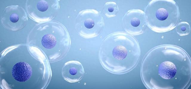 冻结时间：日本科学家以毫秒精度捕获转瞬即逝的生物过程