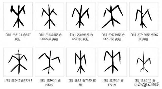 2025年12月16日 第12页