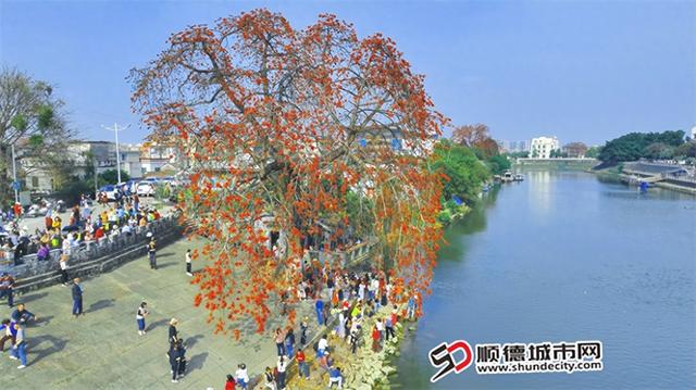 百千万巡礼｜增设油菜花海、亲水碧道……勒北将大变样