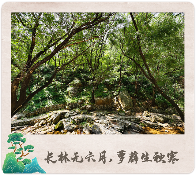 望岳图集丨泰山清凉密码①彩石溪：天然空调房！沉浸式避暑图鉴来啦