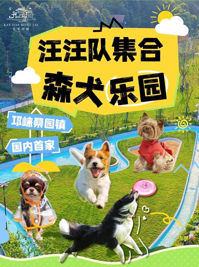 汪汪队！集合！