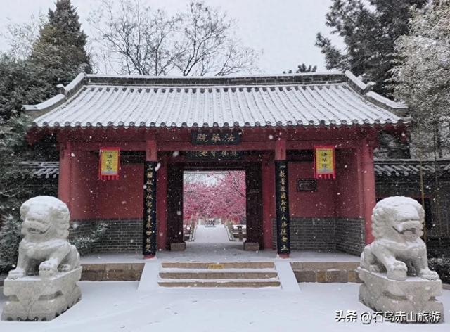 12月2日，赤山初雪赴约！一整座山的浪漫，藏不住！