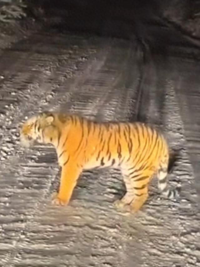 2025年11月4日 第82页