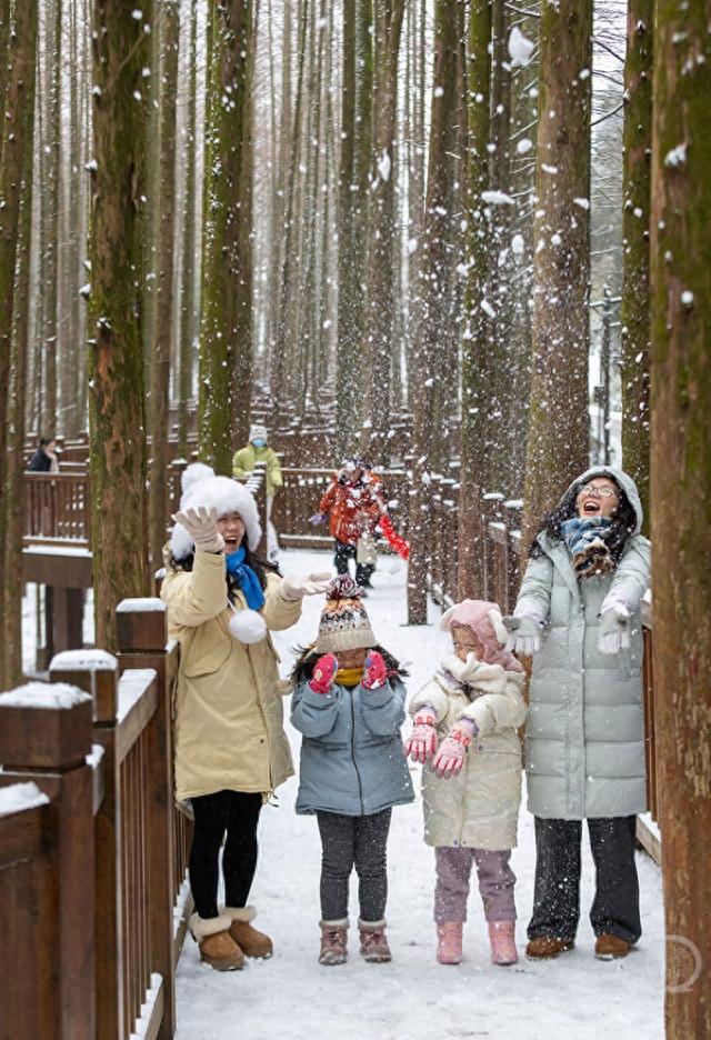 山王坪雪景如画 雪趣乐无边