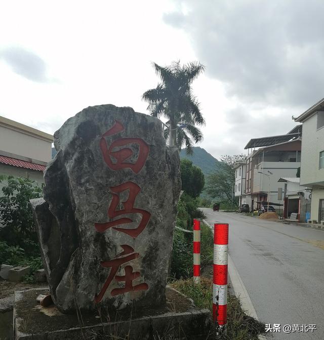广西南宁市上林县白圩镇白马庄，先祖难道是山东青州府益都县？