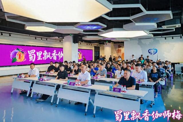 精彩回顾：2025中国新疆喀什·伽师新梅万里行宣传推介活动成都站、长沙站高光图集来啦！