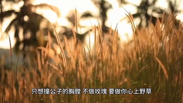 撩对象的污污情话大全（那些撩到腿软的污污的情话 情侣必备）