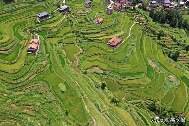 6000 万用户要和移动说拜拜？老用户被当 "韭菜" 割新用户却捡便宜，这操作谁能忍？