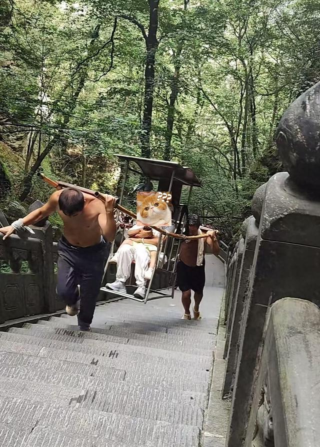 800元坐轿上庐山，女子半路如坐针毡，下山再次看到轿夫时破防