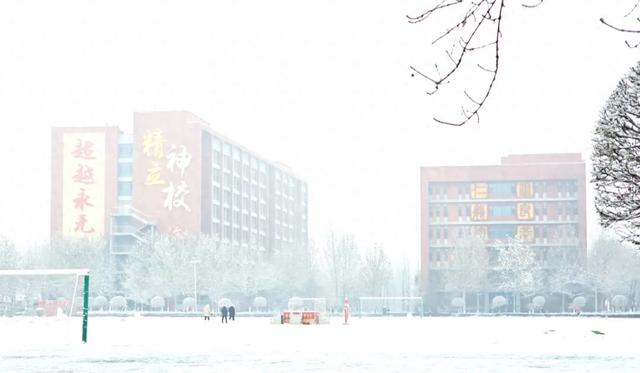 河北衡水:2025年首次降雪,臻园雪景绝绝子!