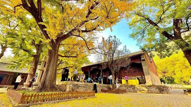 不比门票比体验！山东这波操作，让游客用脚投票