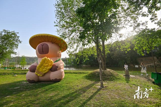请到清城过暑假｜东城片区一日游路线②欢乐漂流·乡野美学之旅